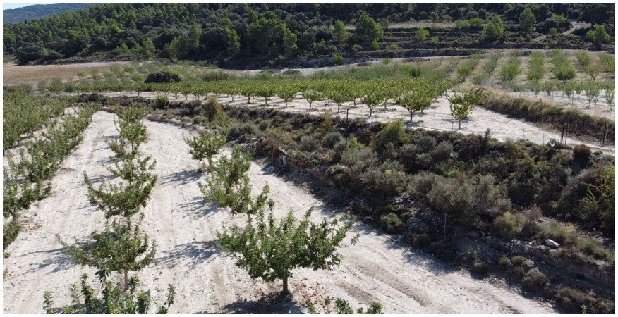 Terreno + Proyecto de centro hípico en La Sarga (Xixona, Alicante) - Finca ecuestre in Jijona, Alicante