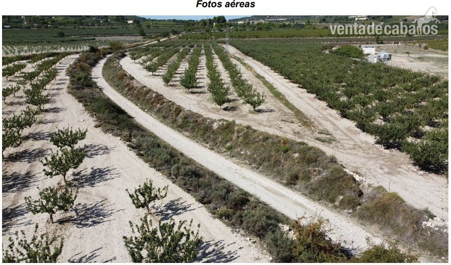 Jijona, Alicante Terreno + Proyecto de centro hípico en La Sarga (Xixona, Alicante)