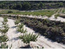 Terreno + Proyecto de centro hípico en La Sarga (Xixona, Alicante)
