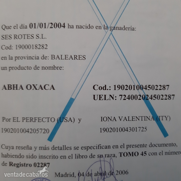 Pra