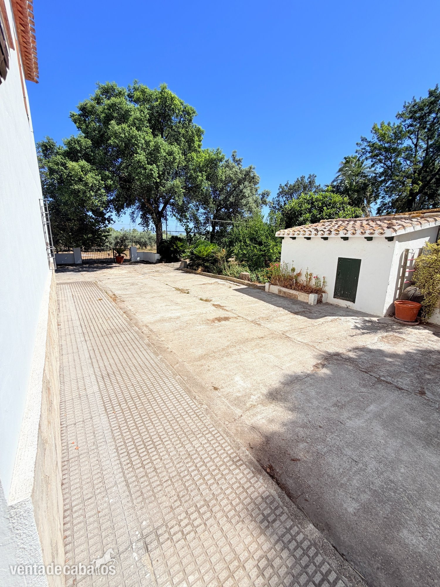 DENIA Exclusivo chalet de 400m2 en DENIA con 11.000m2 de parcela