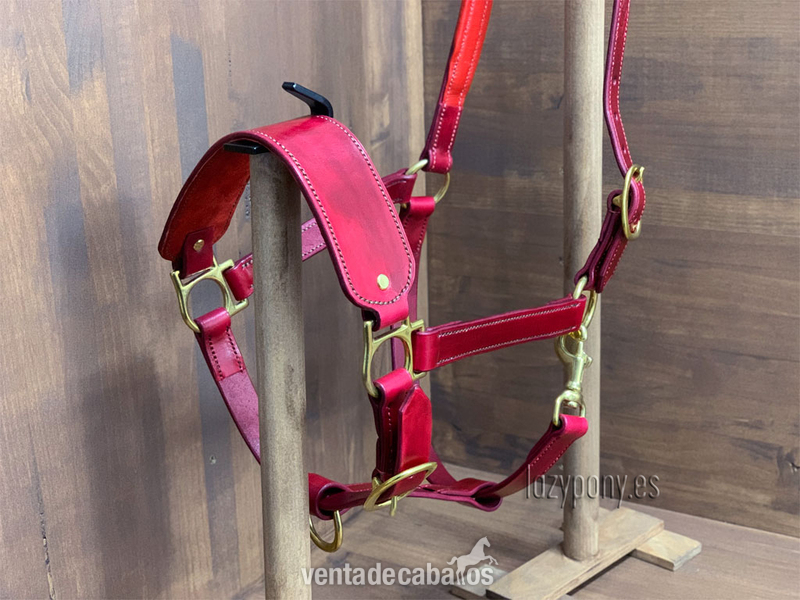  Cabezada de cuadra Lazypony\ Leather horse halter Lazypony