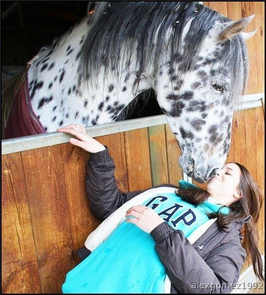Appaloosa