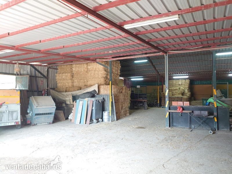Centro hípico Granada - Hípicas y establos en venta