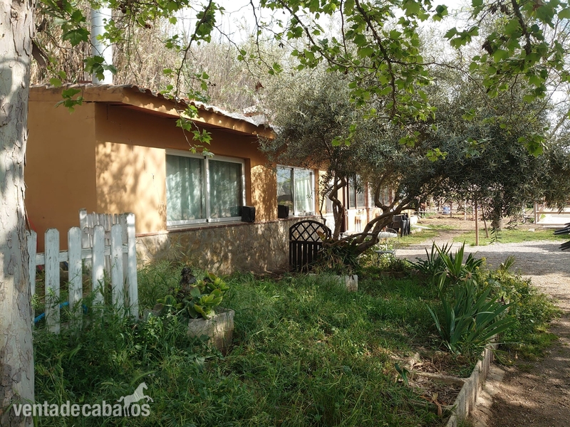 Hípicas y establos en venta - Centro hípico Granada in Granada
