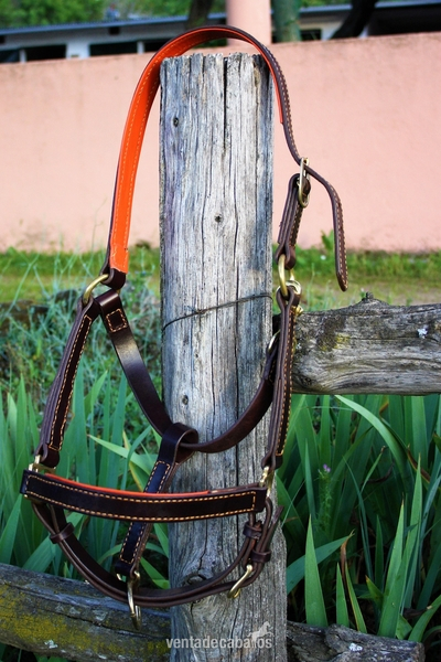 Cabezadas de cuadra artesanales - Artículos de hípica