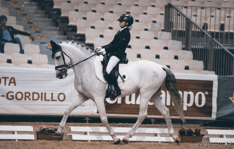 Caballos Pura Raza Española (P.R.E.) Pre - Altanero LXVIII PRE