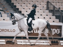 Altanero LXVIII PRE