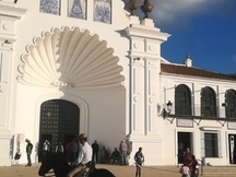 Magnífica yegua española negra