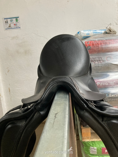 Silla de doma 17.5 nueva - Sillas de montar in 