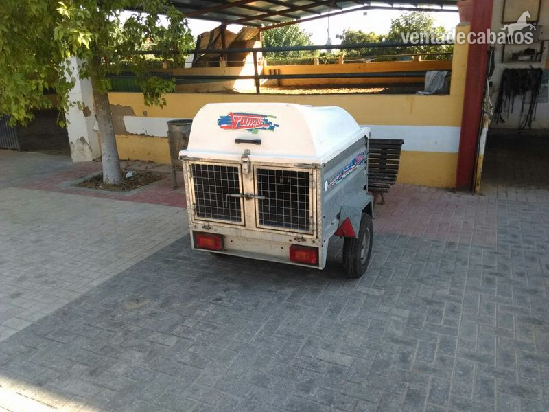 remolque 