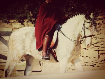 OPORTUNIDAD CABALLO ESPAÑOL