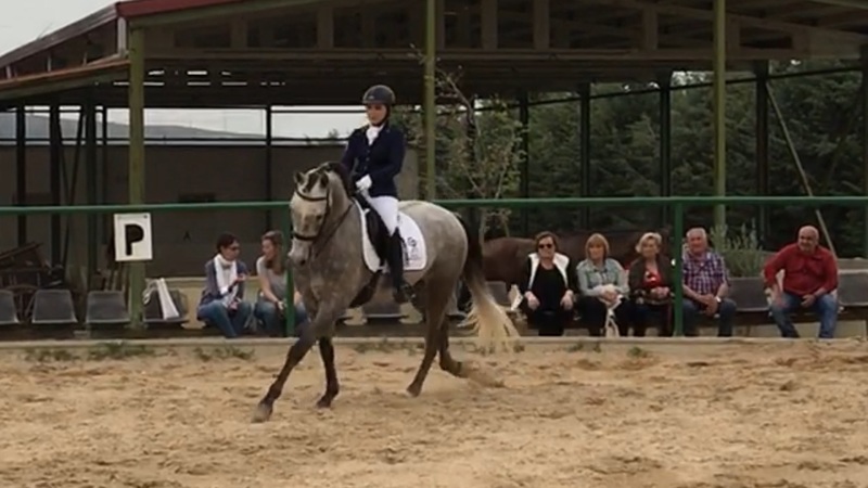 Lusitano