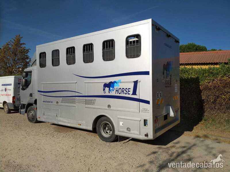 Camión Daf  - Transportes de caballos