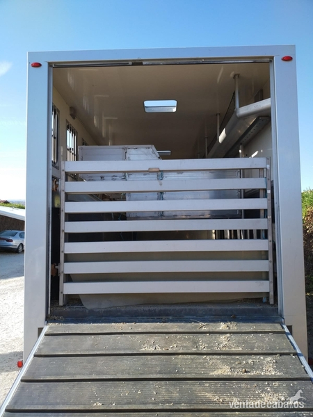 Transportes de caballos - Camión Daf  in 