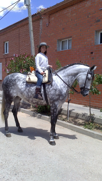 Andaluz {TYPE}