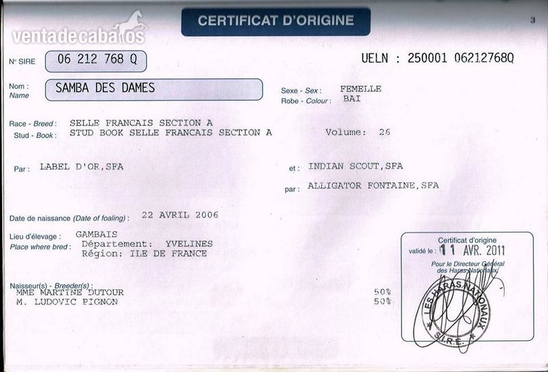 Yegua de salto - Yeguas