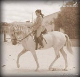 Pura Raza Española {TYPE}