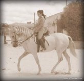 Pura Raza Española {TYPE}