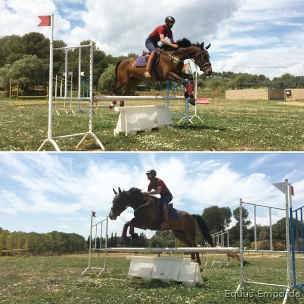 B.W.P. de salto o completo a la venta in 