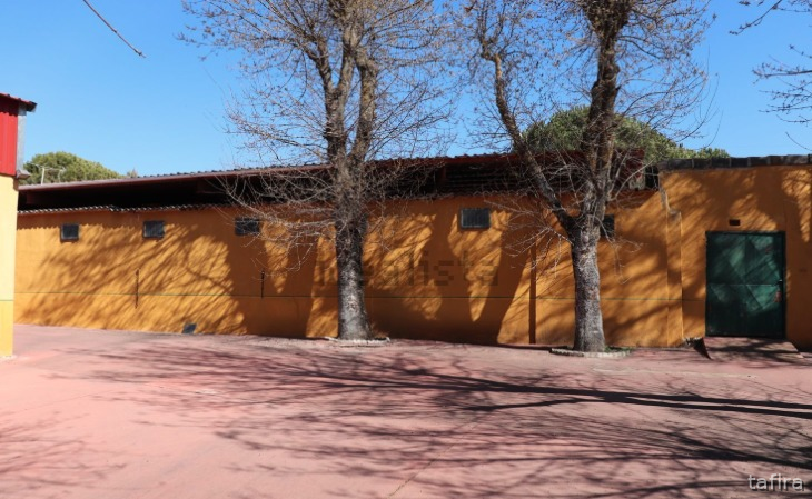 Pedrezuela Finca hípica Pedrezuela